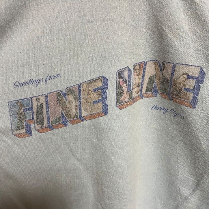 GILDAN ギルダン　長袖プリントスウェット　トレーナー　FINE LINE　水色　秋冬服　Lサイズ　古着