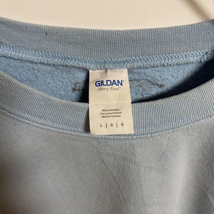 GILDAN ギルダン　長袖プリントスウェット　トレーナー　FINE LINE　水色　秋冬服　Lサイズ　古着