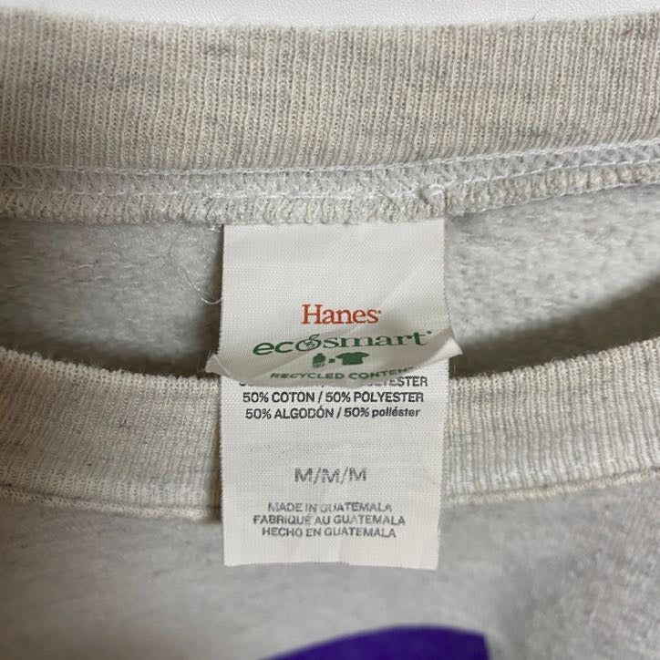 古着 used　Hanes ヘインズ　長袖カレッジプリントスウェット　トレーナー　グレー　クルーネック　秋冬服　Mサイズ