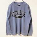 COMFORT COLORS　長袖クルーネックプリントスウェット　トレーナー　VIRGINIA　秋冬服　Mサイズ　古着