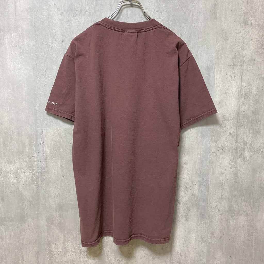 TULTEX　タルテックス　半袖アニマル柄プリントTシャツ　ワインレッド　鷹　鳥　レトロ　クルーネック　Mサイズ　古着