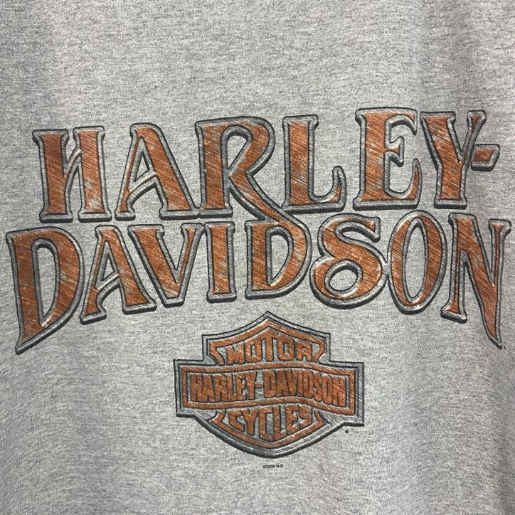 00s　HARLEY DAVIDSON　ハーレーダビッドソン　半袖両面プリントTシャツ　灰色　グレー