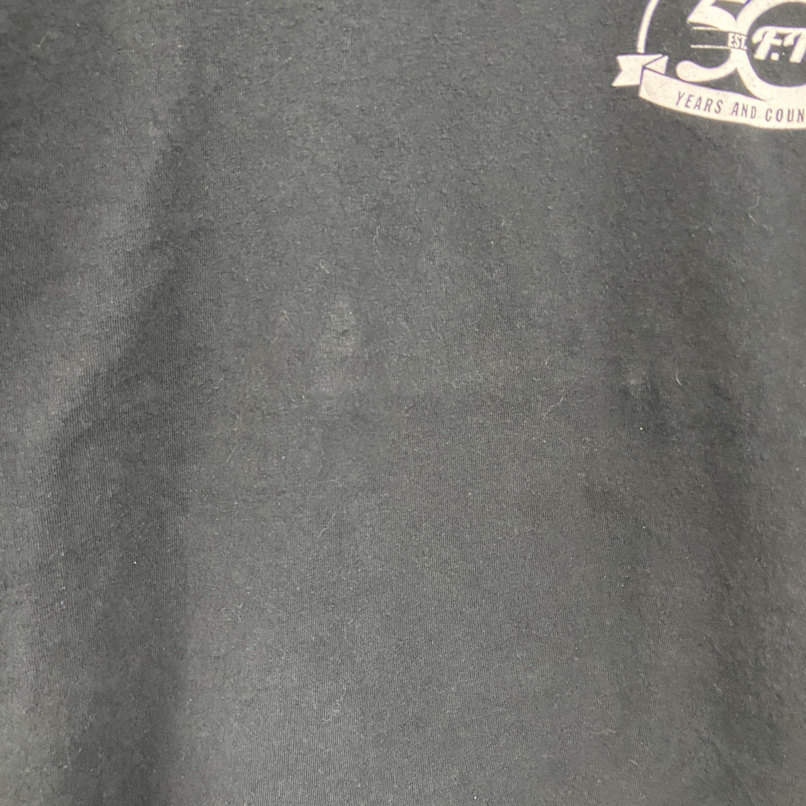 GILDAN　ギルダン　半袖プリントTシャツ　両面プリント　アーチプリント　黒　ブラック　Lサイズ　古着