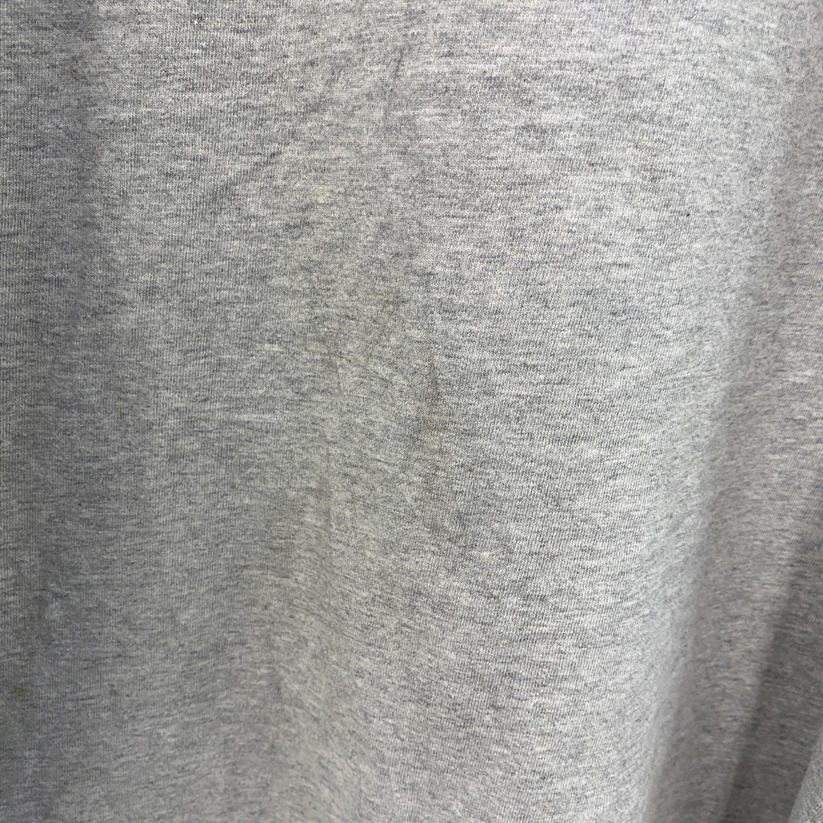 STUSSY　ステューシー　半袖プリントTシャツ　グレー　Sサイズ　古着