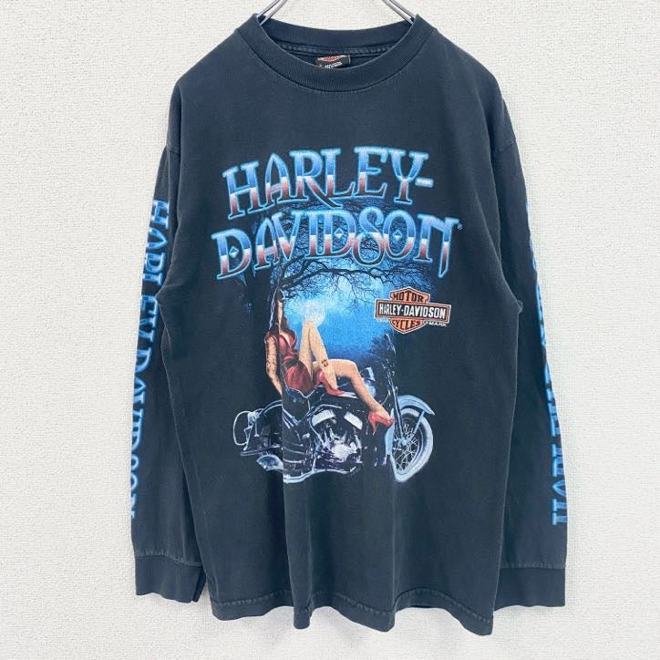 HARLEY DAVIDSON　ハーレーダビッドソン　長袖両面プリントTシャツ　袖プリント　黒　ブラック　Mサイズ