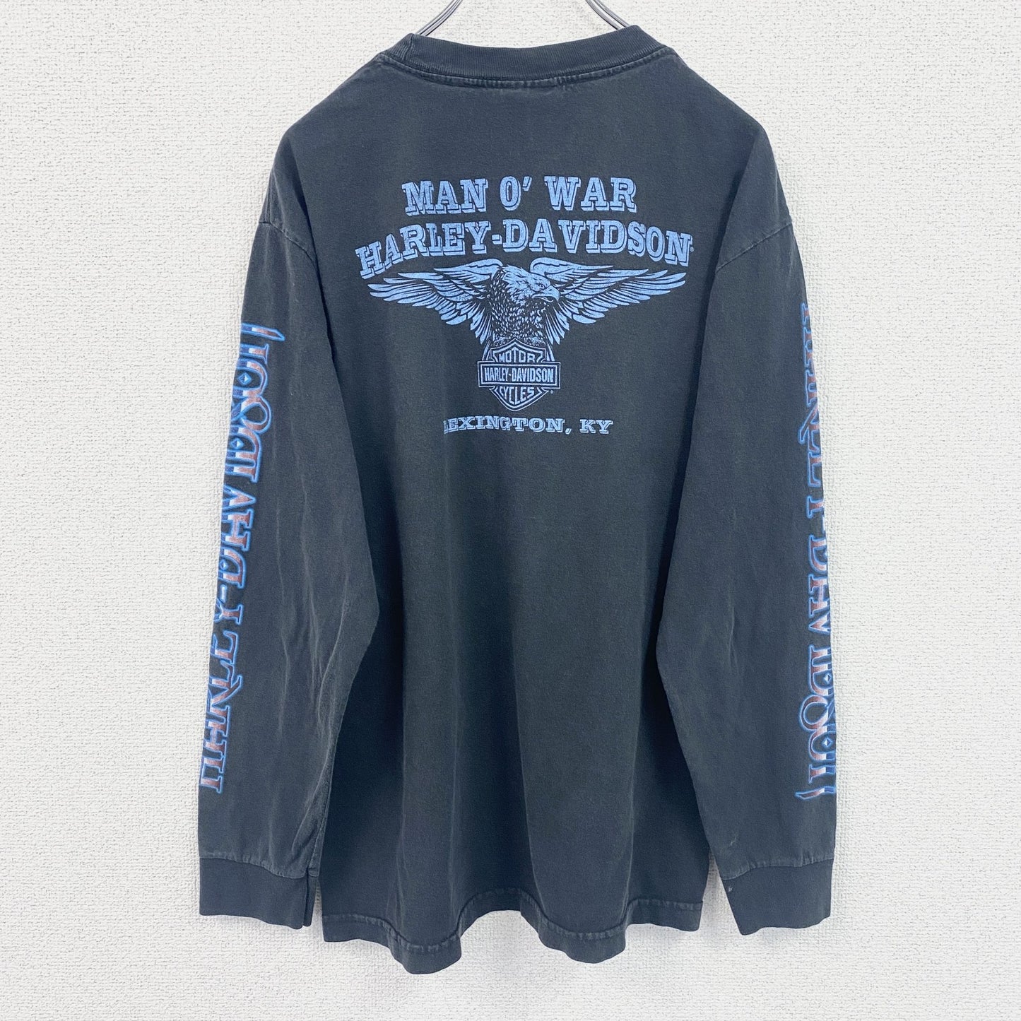 HARLEY DAVIDSON　ハーレーダビッドソン　長袖両面プリントTシャツ　袖プリント　黒　ブラック　Mサイズ