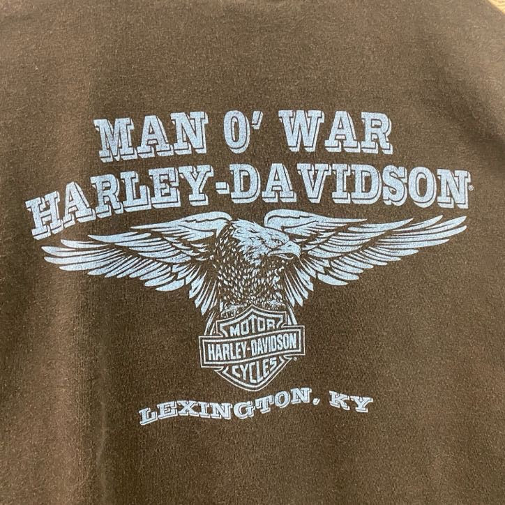 HARLEY DAVIDSON　ハーレーダビッドソン　長袖両面プリントTシャツ　袖プリント　黒　ブラック　Mサイズ