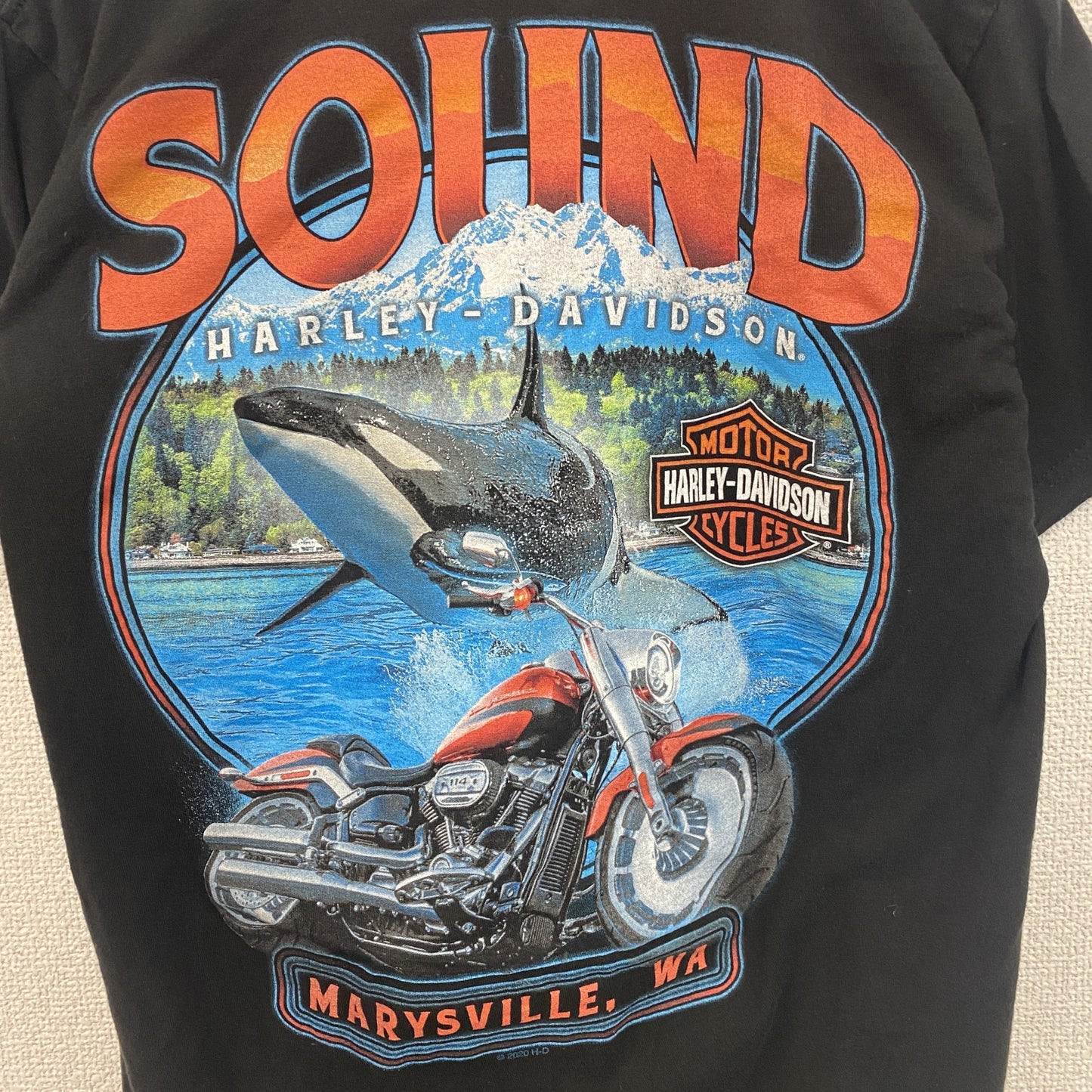 HARLEY DAVIDSON　ハーレーダビッドソン　半袖プリントTシャツ　黒　ブラック　Mサイズ