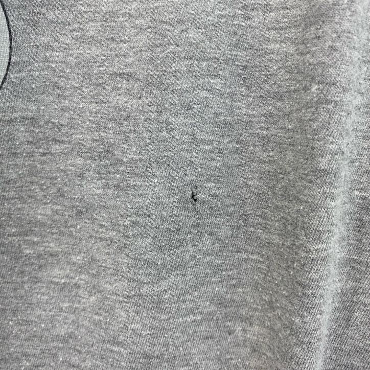 NIKE　ナイキ　半袖プリントTシャツ　ピッツバーグ・スティーラーズ　クルーネック　グレー　灰色　Lサイズ　古着