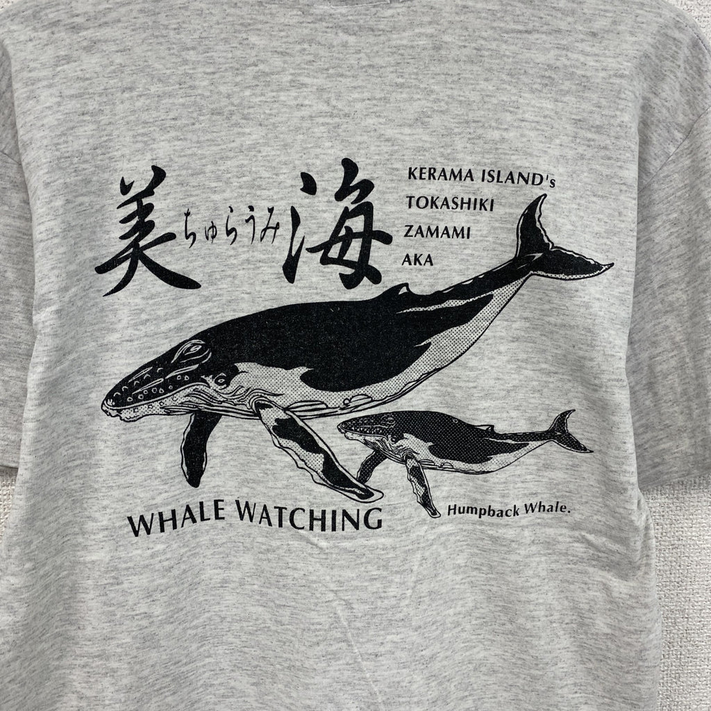 90s　anvil　美ら海　半袖プリントTシャツ　ヴィンテージ　シングルステッチ　グレー　灰色　Mサイズ　古着