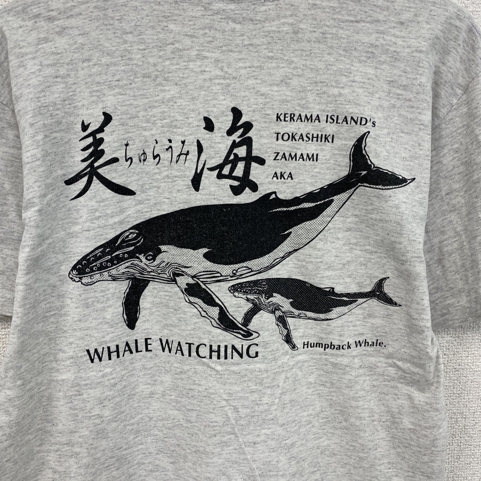 90s　anvil　美ら海　半袖プリントTシャツ　ヴィンテージ　シングルステッチ　グレー　灰色　Mサイズ　古着