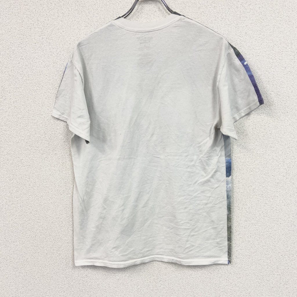 GILDAN　ギルダン　半袖プリントTシャツ　フロント全面プリント　アニマルT　猫　DJ　白　ホワイト　Mサイズ　古着