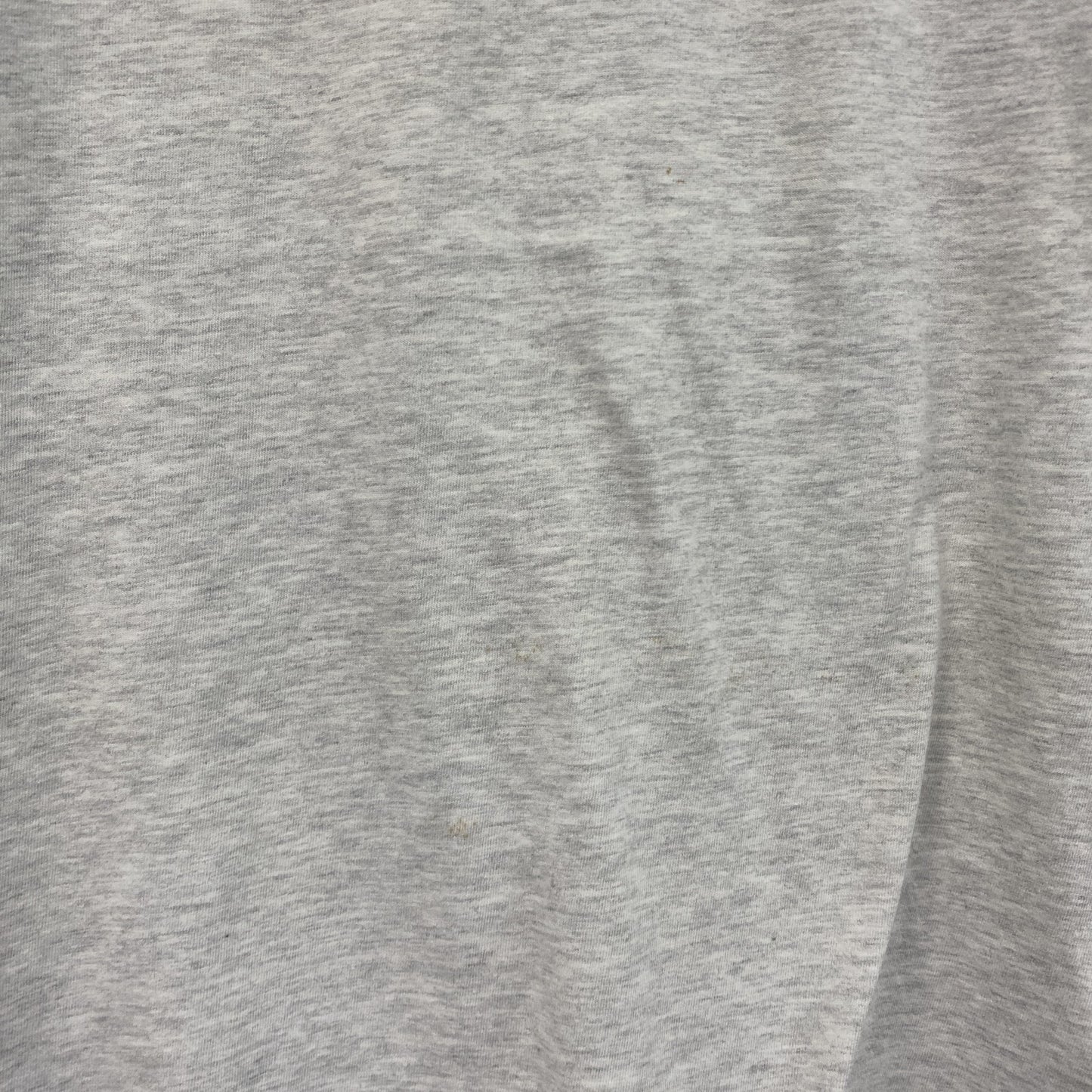 Hanes　ヘインズ　半袖プリントTシャツ　霜降りグレー　Lサイズ