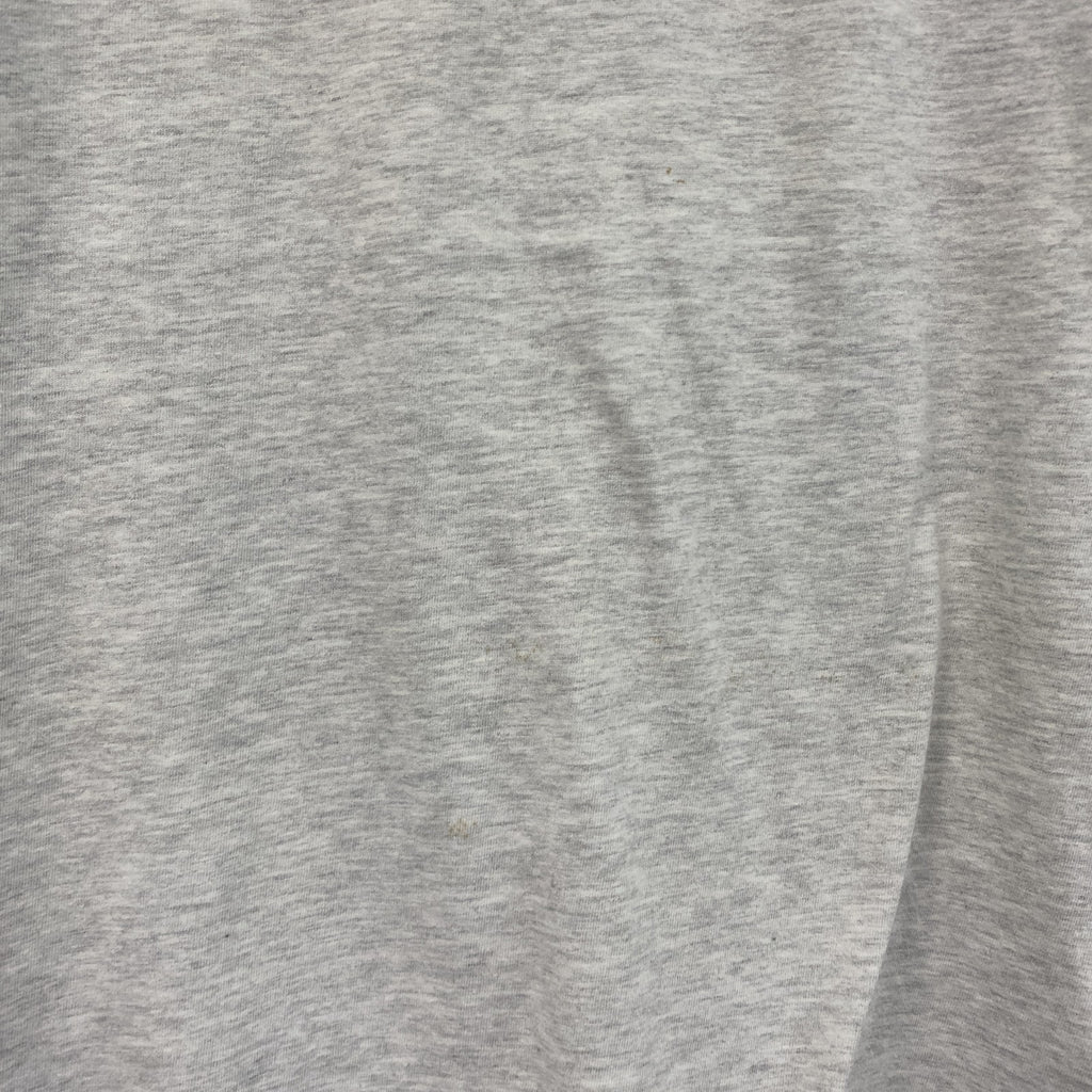 00s　Hanes　ヘインズ　半袖プリントオリジナルTシャツ　Dive Bandos　両面プリント　霜降りグレー　Lサイズ　古着
