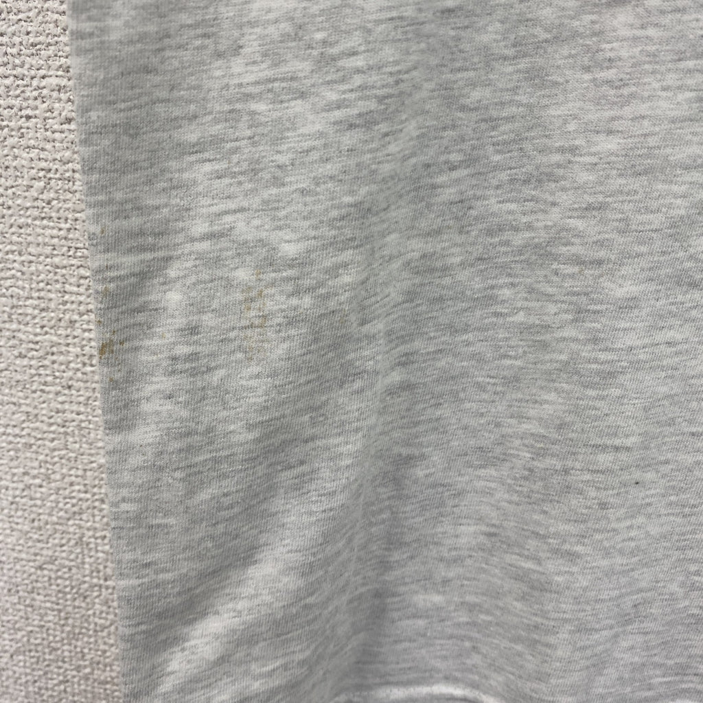 00s　Hanes　ヘインズ　半袖プリントオリジナルTシャツ　Dive Bandos　両面プリント　霜降りグレー　Lサイズ　古着