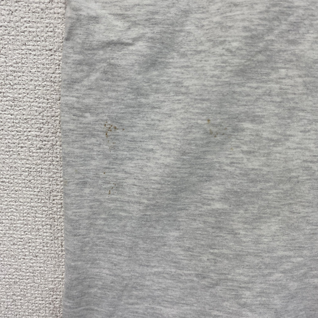 00s　Hanes　ヘインズ　半袖プリントオリジナルTシャツ　Dive Bandos　両面プリント　霜降りグレー　Lサイズ　古着