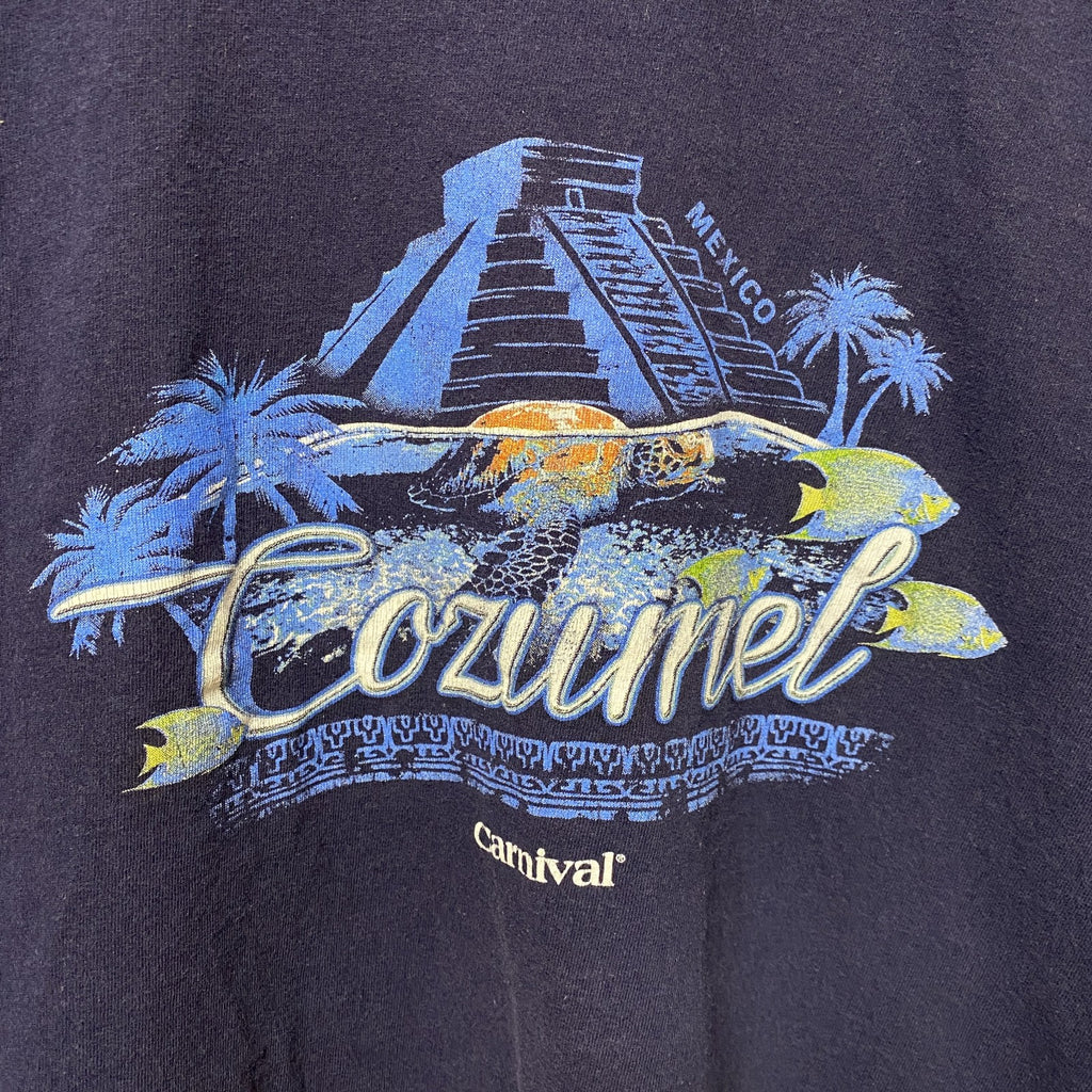 COZUMEL　半袖プリントTシャツ　ネイビー　紺　レトロ　デザイン　個性的　クルーネック　春夏服　Lサイズ　古着