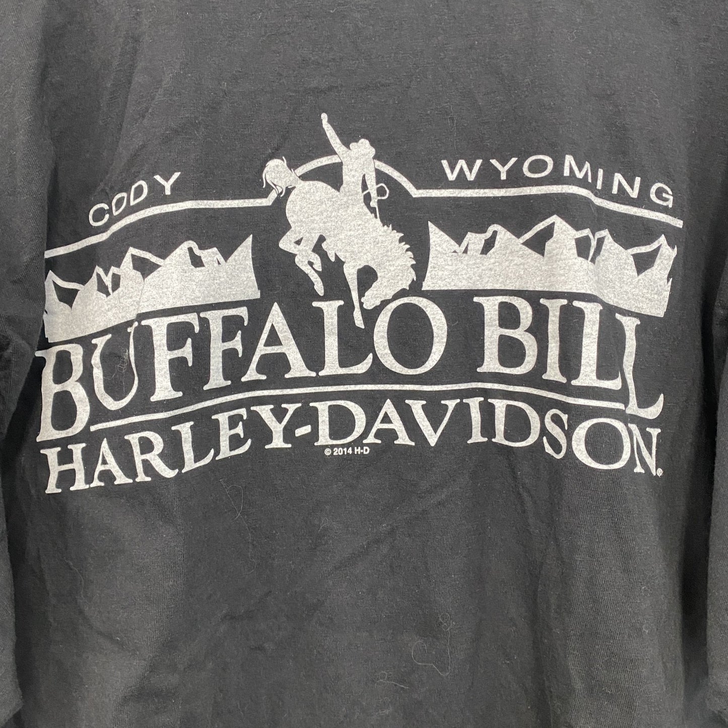 HARLEY DAVIDSON　ハーレーダビッドソン　半袖両面プリントTシャツ　黒　ブラック　Lサイズ