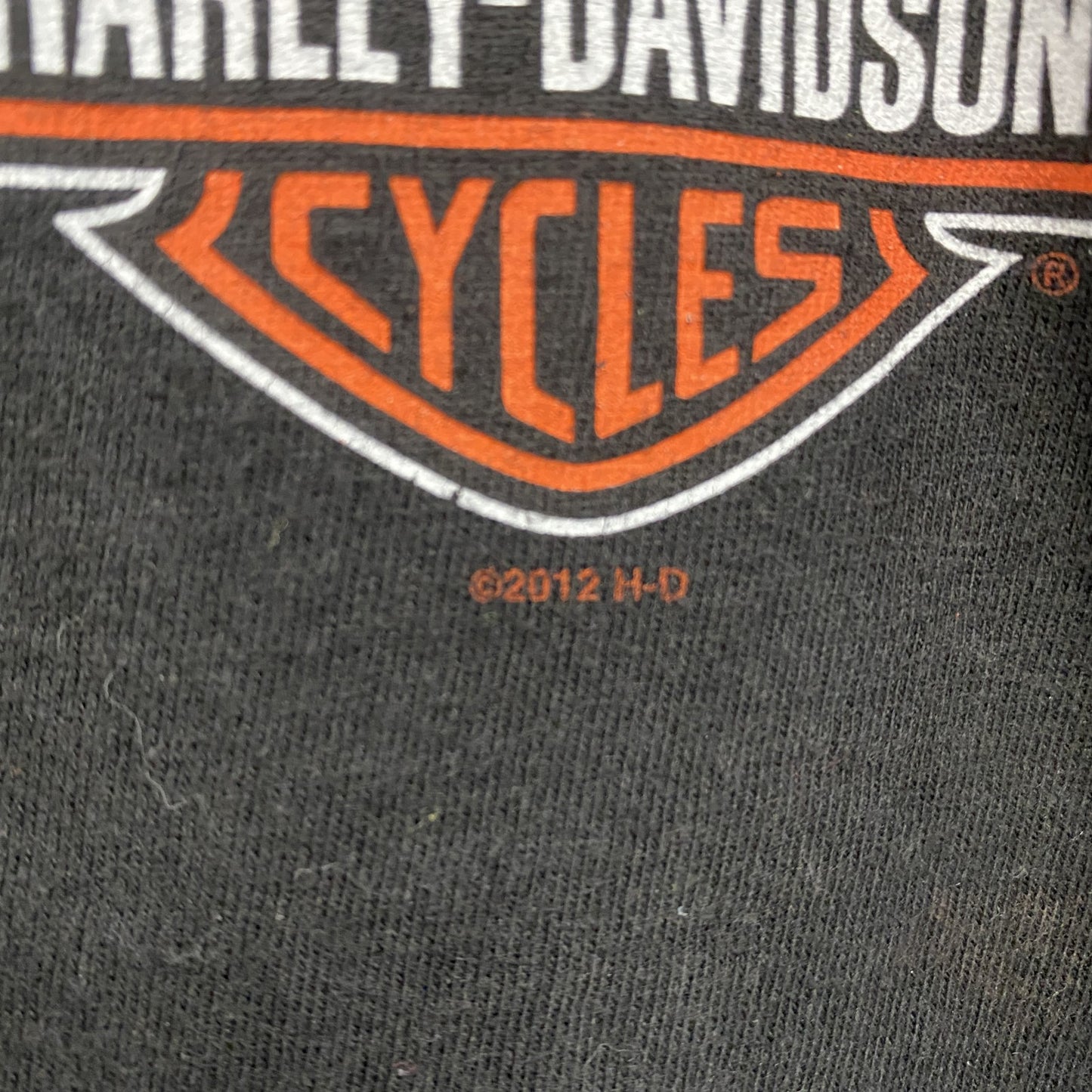 HARLEY DAVIDSON　ハーレーダビッドソン　半袖両面プリントTシャツ　黒　ブラック　Lサイズ