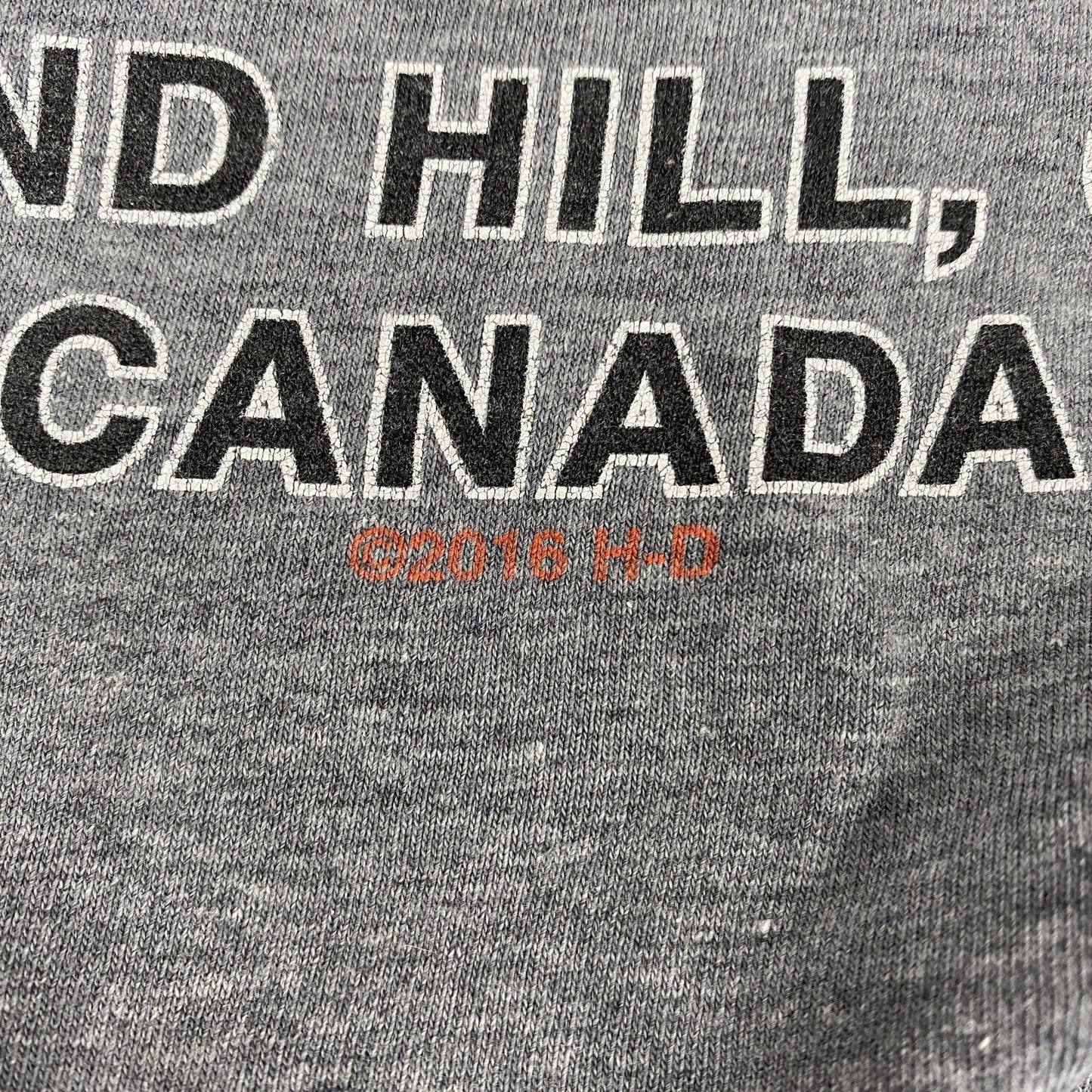 HARLEY DAVIDSON　ハーレーダビッドソン　半袖両面プリントTシャツ　グレー　Lサイズ