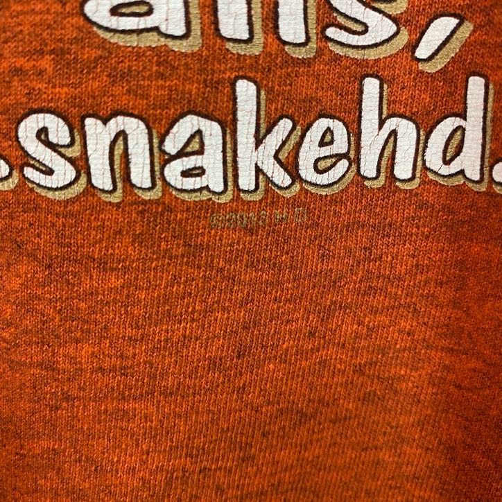 HARLEY DAVIDSON　ハーレーダビッドソン　半袖プリントTシャツ　オレンジ　Lサイズ