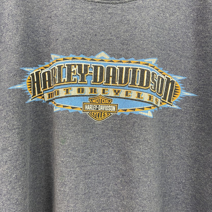 00s　HARLEY DAVIDSON　ハーレーダビッドソン　半袖両面プリントTシャツ　青　ブルー　Lサイズ