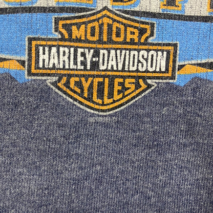00s　HARLEY DAVIDSON　ハーレーダビッドソン　半袖両面プリントTシャツ　青　ブルー　Lサイズ