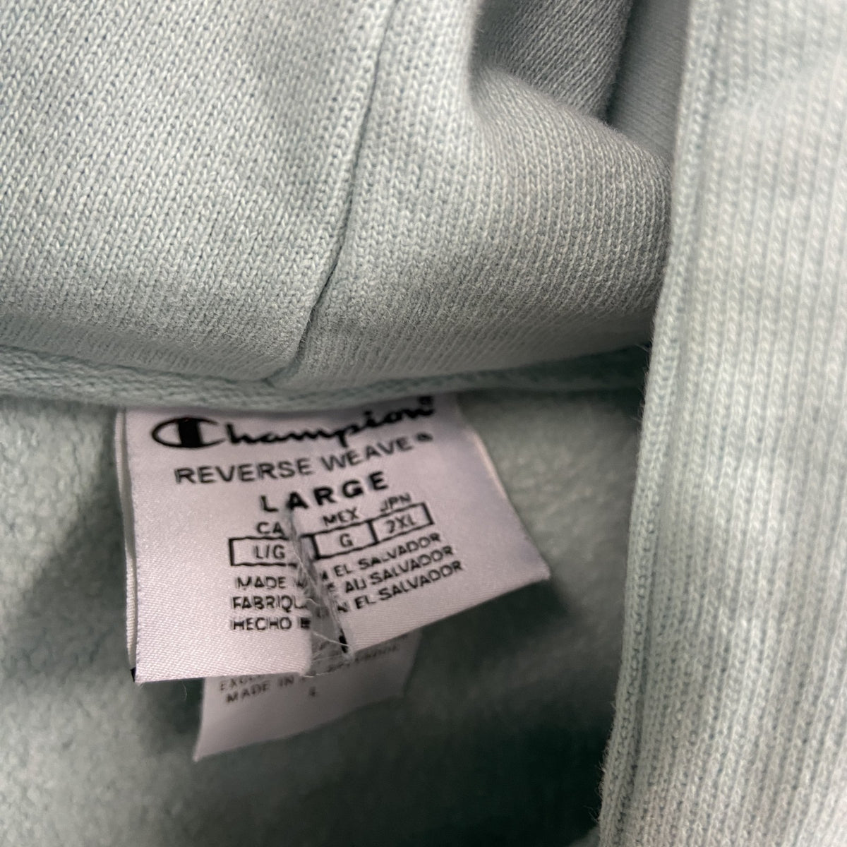 Champion　チャンピオン　リバースウィーブ　スウェットパーカー/フーディー　目無し　刺繍ロゴ　現行　水色　ブルー　Lサイズ　古着