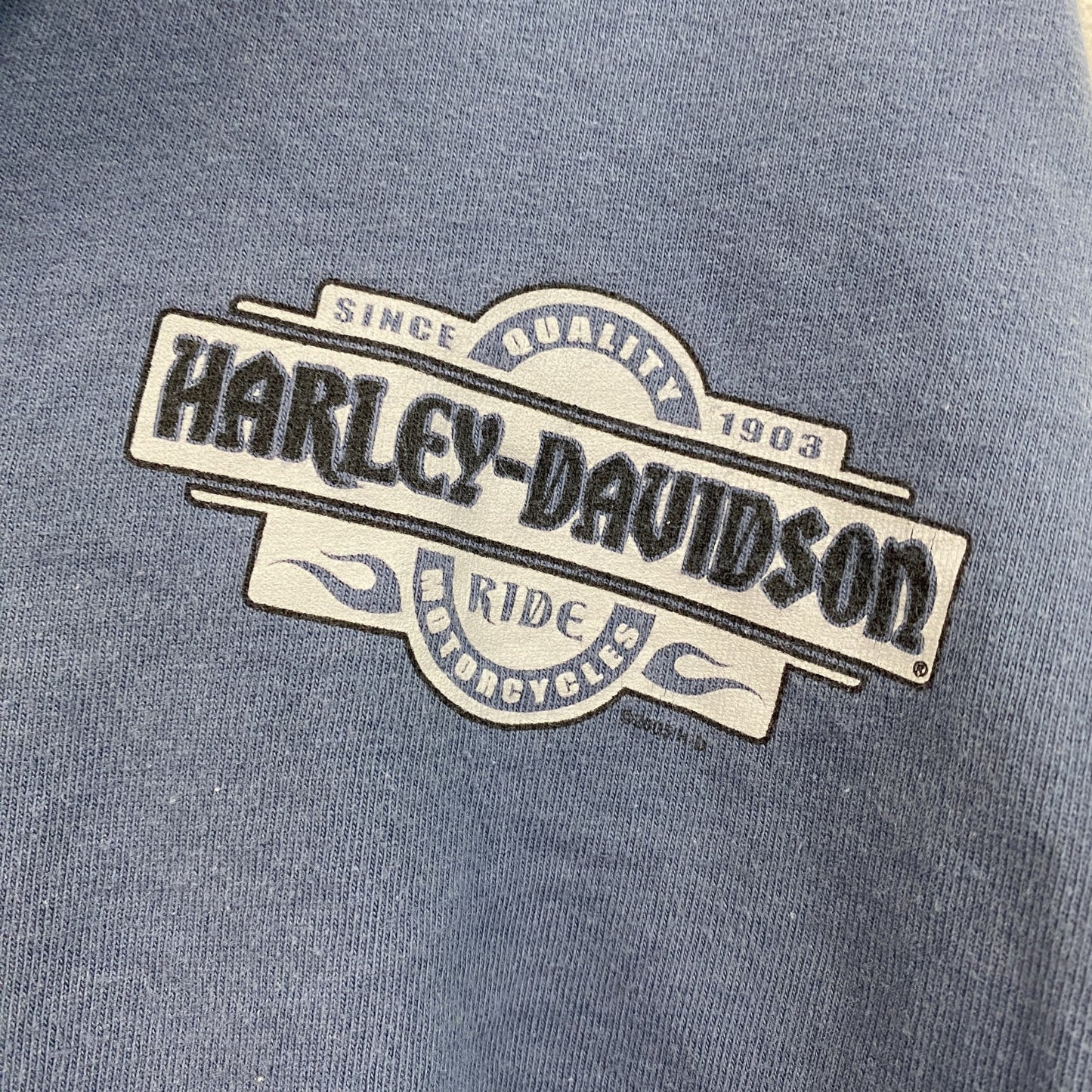 00s　HARLEY DAVIDSON　ハーレーダビッドソン　長袖両面プリントTシャツ　青　ブルー　XLサイズ