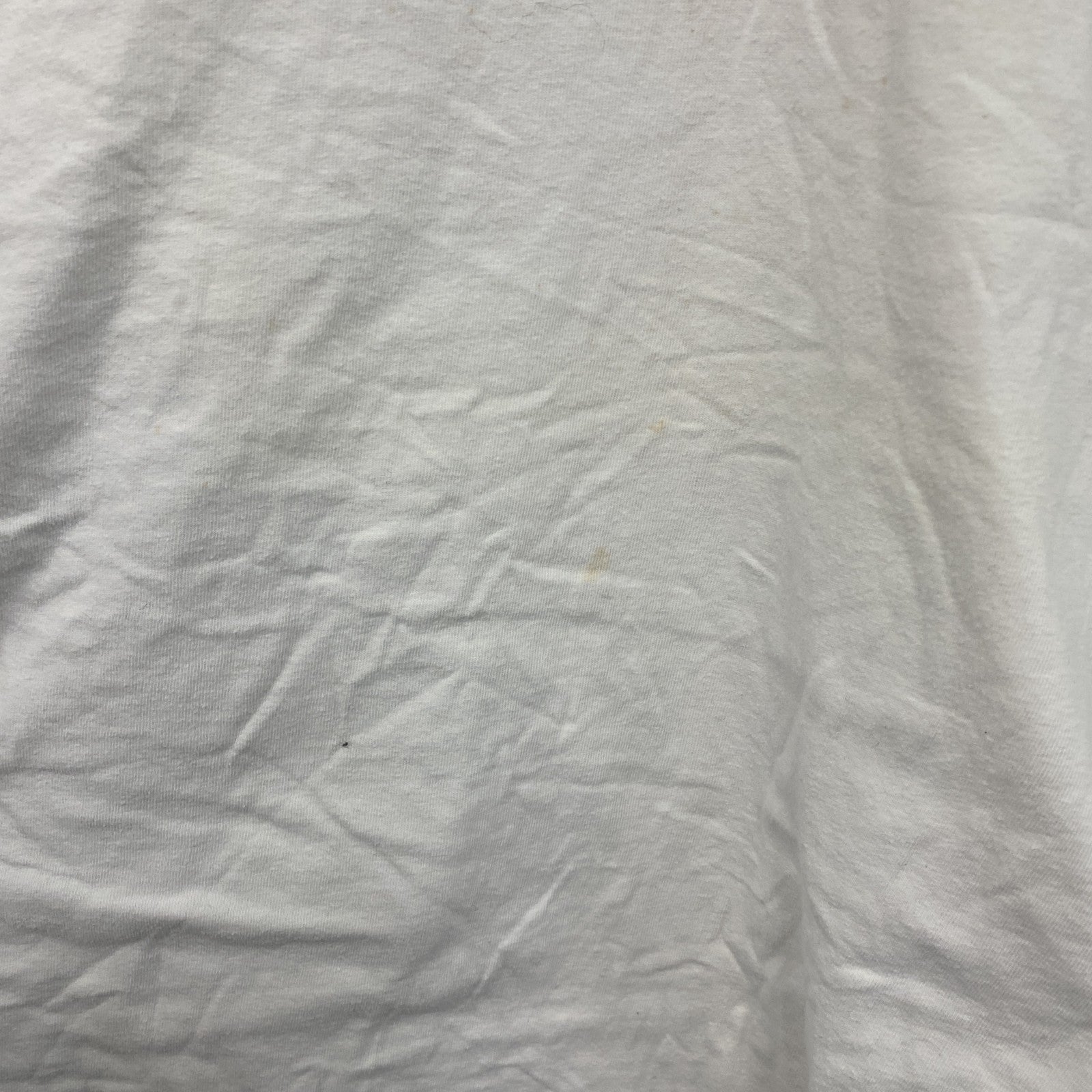 00s　Hanes　ヘインズ　長袖プリントTシャツ　ヴィンテージ　RED DJ　白　ホワイト　　古着