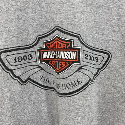 HARLEY DAVIDSON　ハーレーダビッドソン　長袖プリントTシャツ　灰　グレー　Lサイズ
