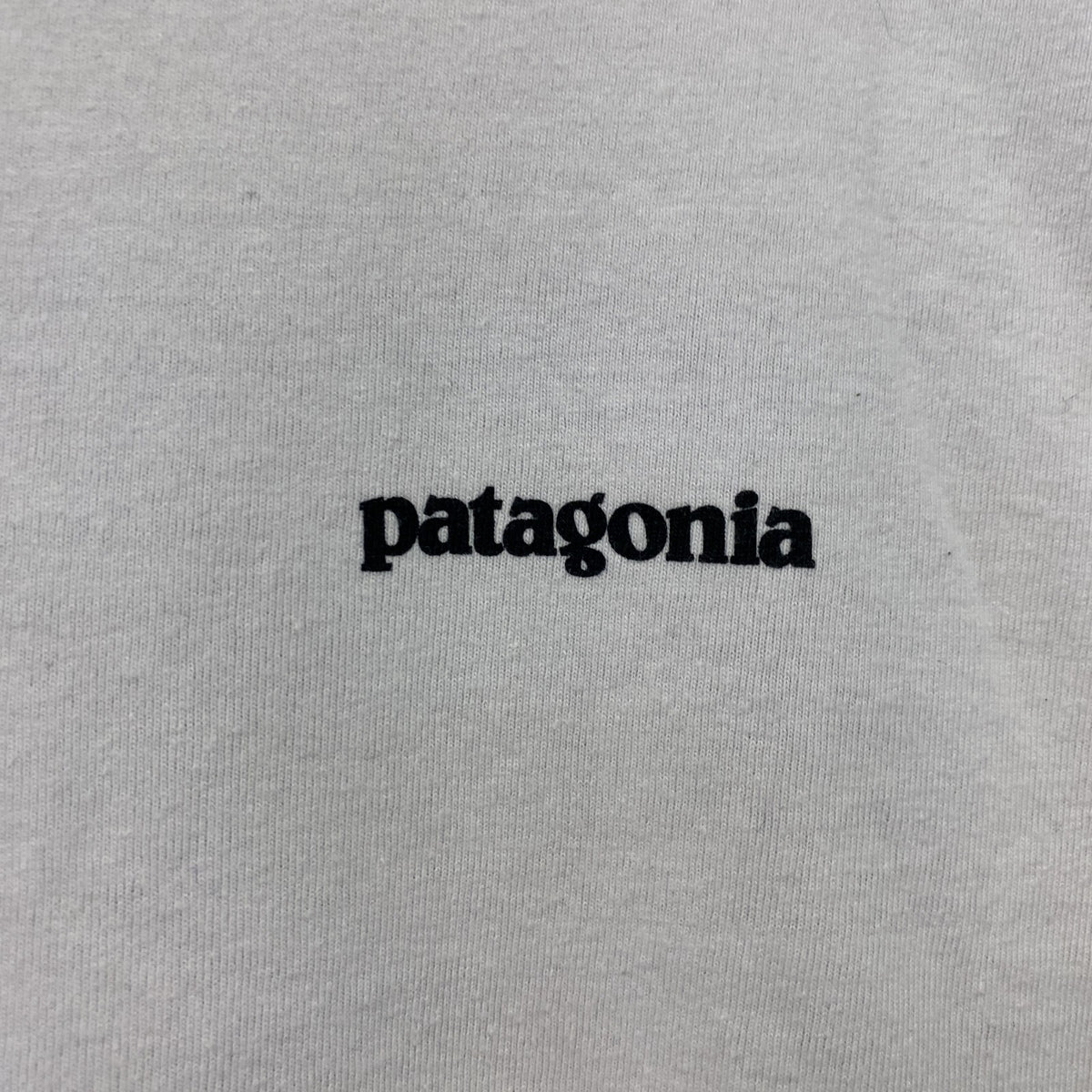 Patagonia　パタゴニア　半袖プリントTシャツ　白　ホワイト　XSサイズ　古着　