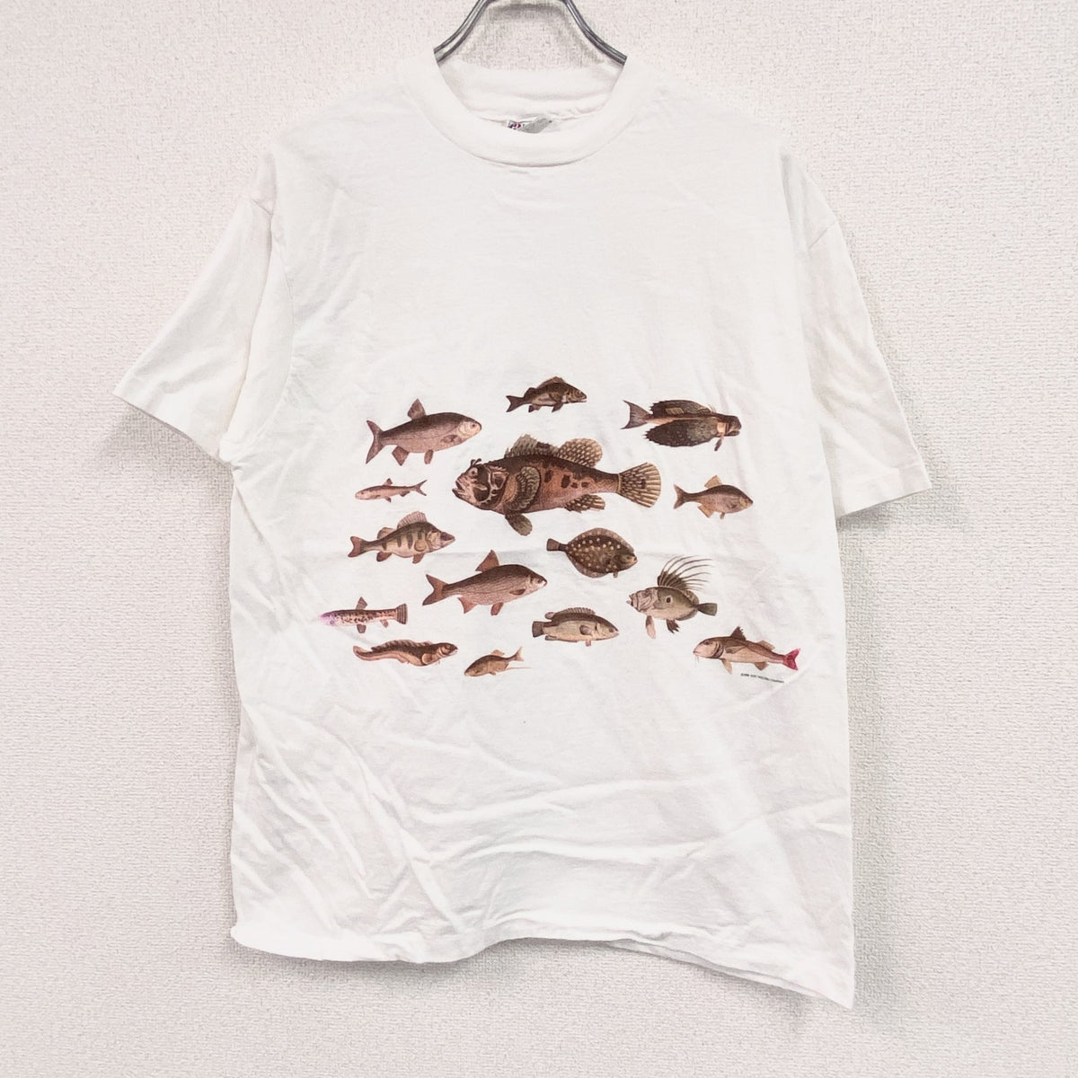 Hanes　ヘインズ　半袖プリントTシャツ　シングルステッチ　白　ホワイト　Lサイズ カットソー メンズ コットン 古着
