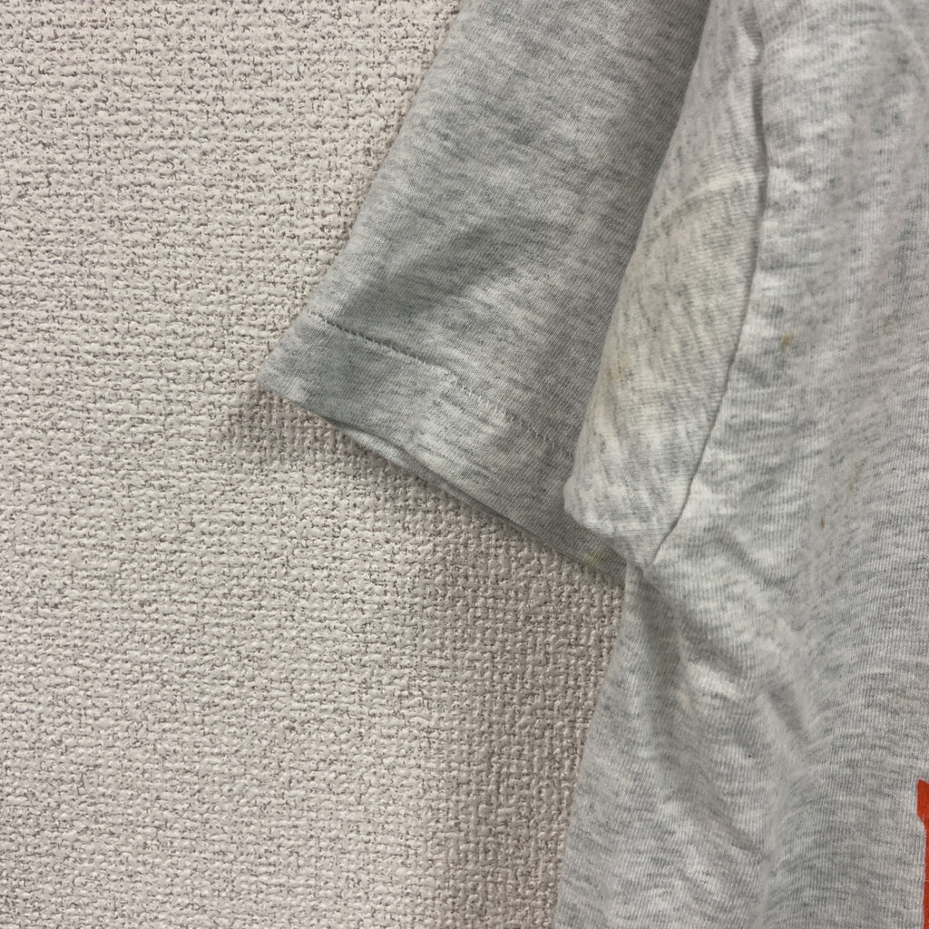 FRUIT OF THE LOOM　フルーツオブザルーム　半袖プリントTシャツ　シングルステッチ　霜降りグレー　Lサイズ カットソー メンズ コットン 古着