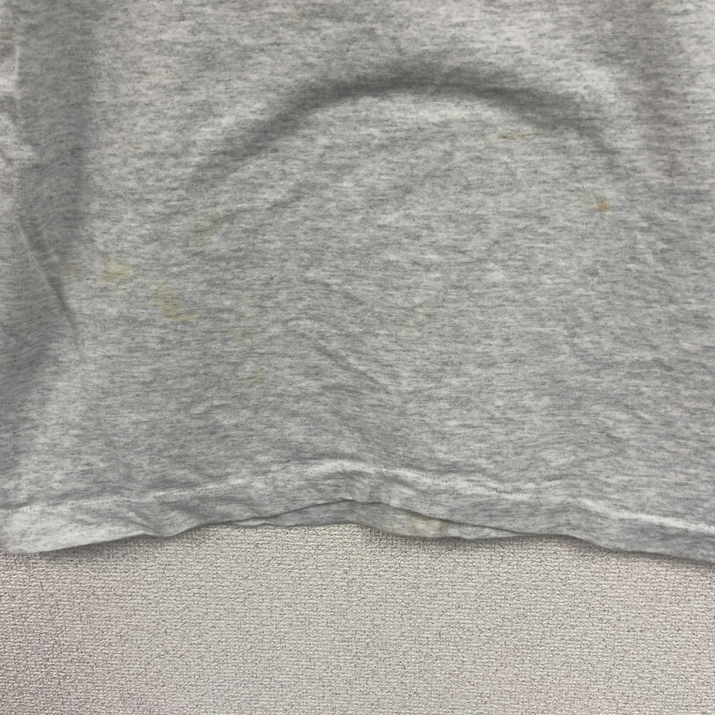 FRUIT OF THE LOOM　フルーツオブザルーム　半袖プリントTシャツ　シングルステッチ　霜降りグレー　Lサイズ カットソー メンズ コットン 古着