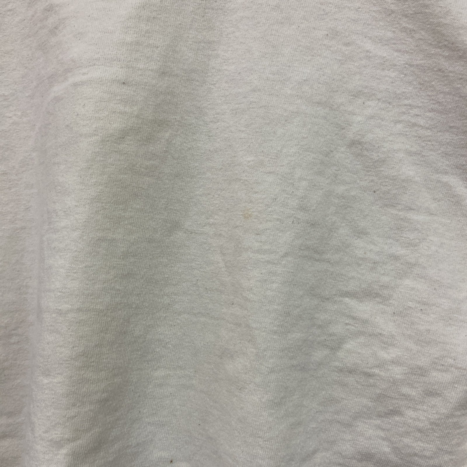 90s～　SEASONS　半袖プリントTシャツ　ORCAS　ヴィンテージ　白　ホワイト　Lサイズ　古着