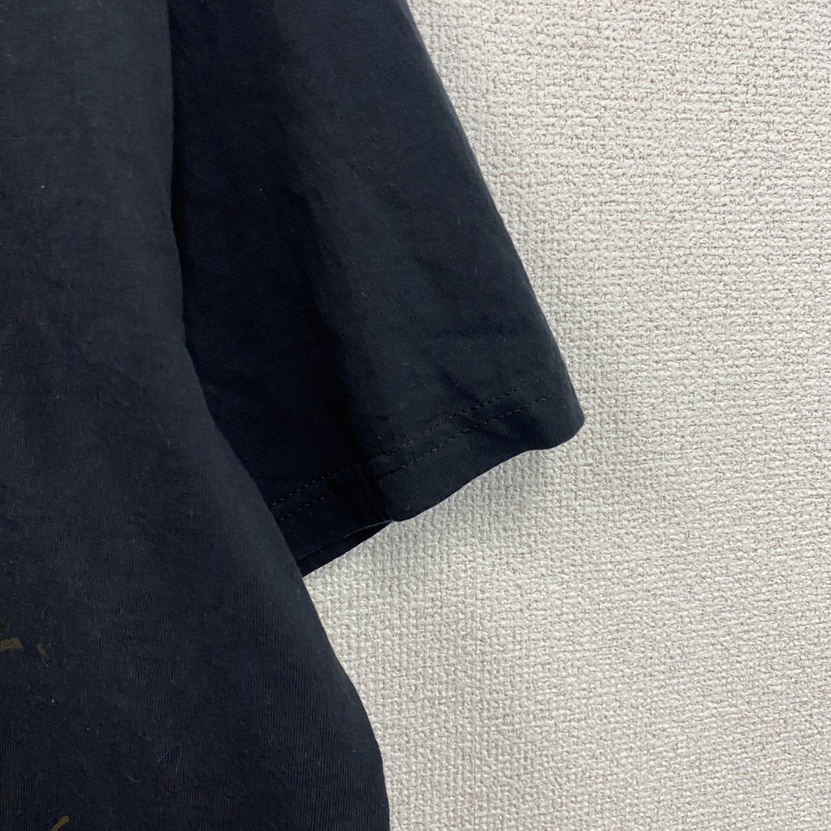 FRUIT OF THE LOOM　DARKSKY　半袖Tシャツ　バンドT　ツアーT　サイン入り　ブラック　Lサイズ　古着