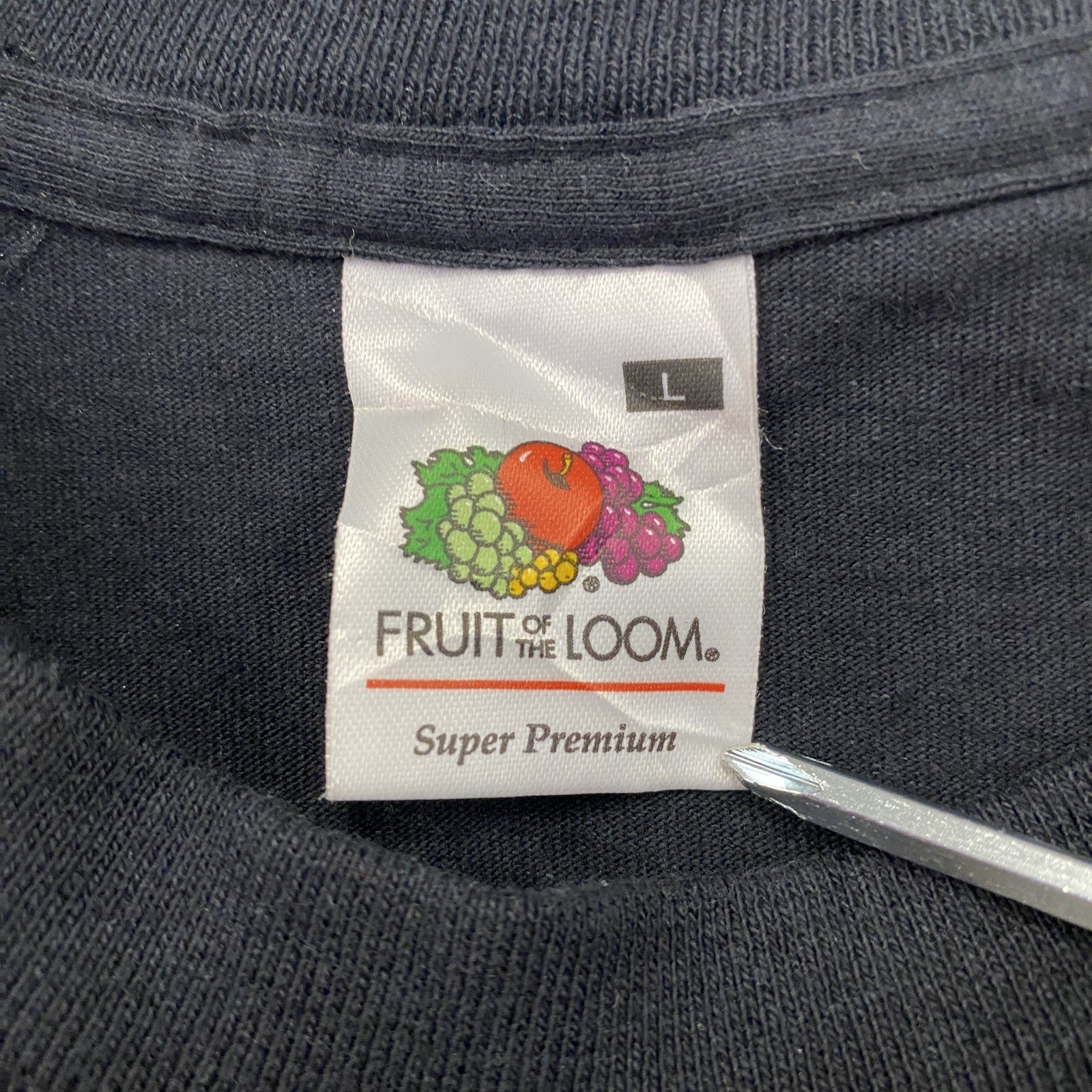 FRUIT OF THE LOOM　DARKSKY　半袖Tシャツ　バンドT　ツアーT　サイン入り　ブラック　Lサイズ　古着