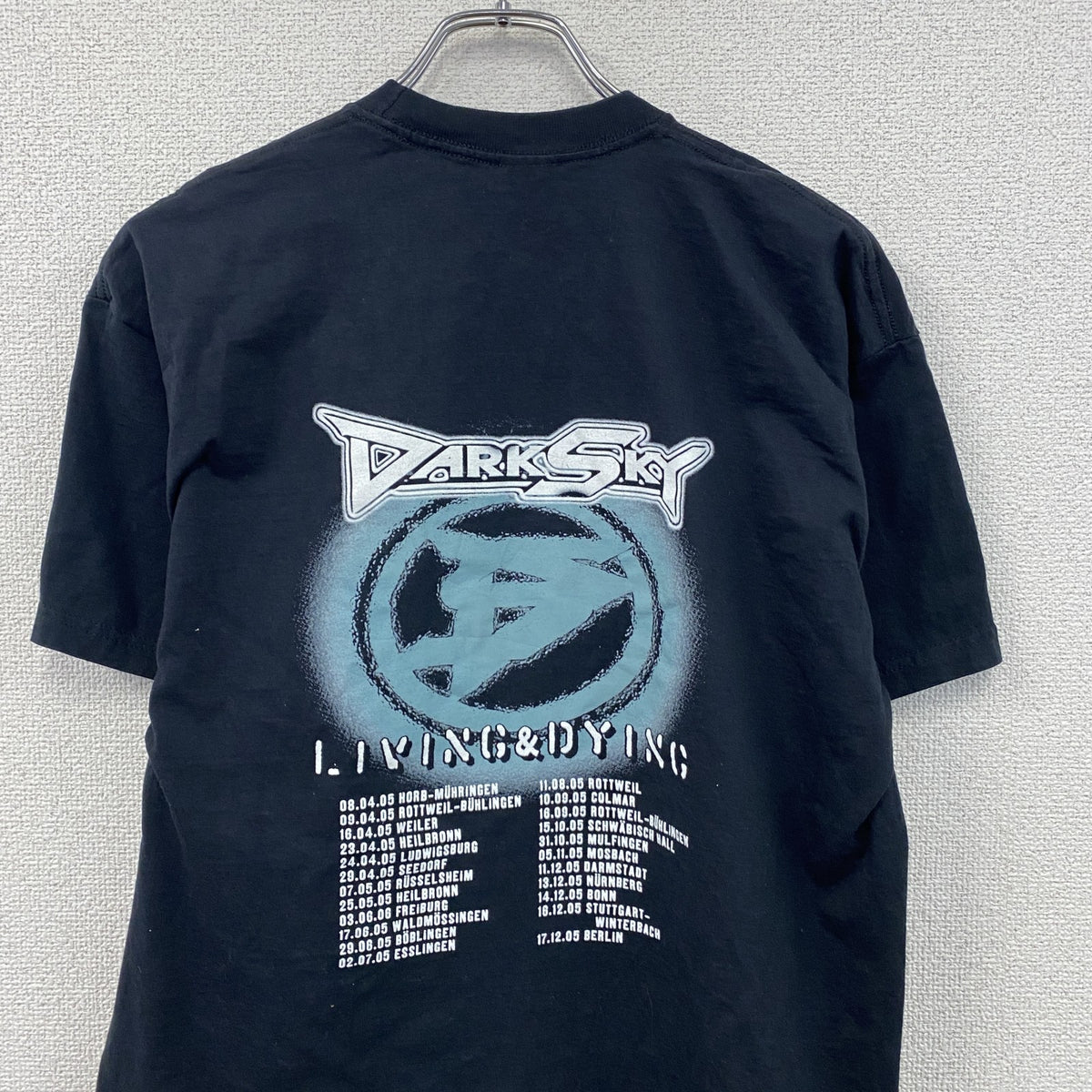 FRUIT OF THE LOOM　DARKSKY　半袖Tシャツ　バンドT　ツアーT　サイン入り　ブラック　Lサイズ　古着