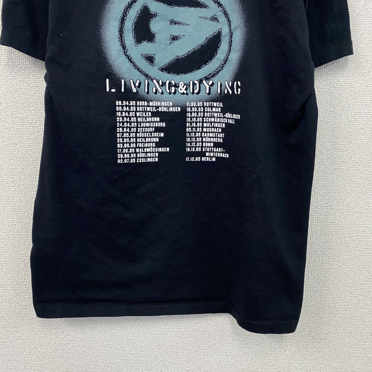 FRUIT OF THE LOOM　DARKSKY　半袖Tシャツ　バンドT　ツアーT　サイン入り　ブラック　Lサイズ　古着