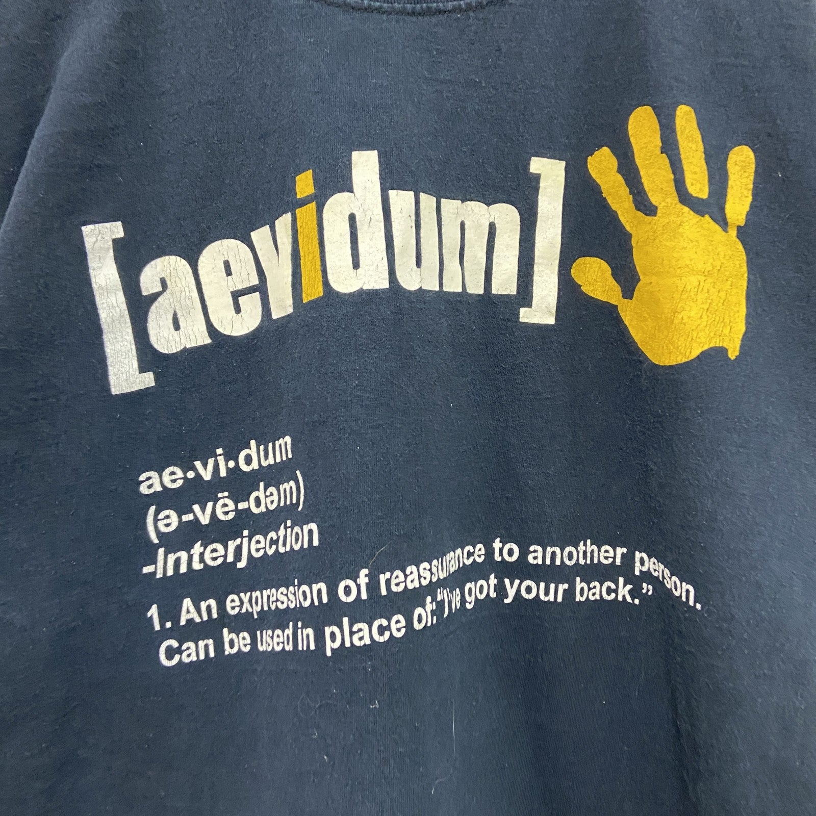 JERZEES　ジャージーズ　半袖プリントTシャツ　aevidum　黒　ブラック　Lサイズ　古着
