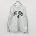 Champion　チャンピオン　リバースウィーブ　スウェット/トレーナー　トリコタグ　復刻　霜降りグレー　XLサイズ　古着