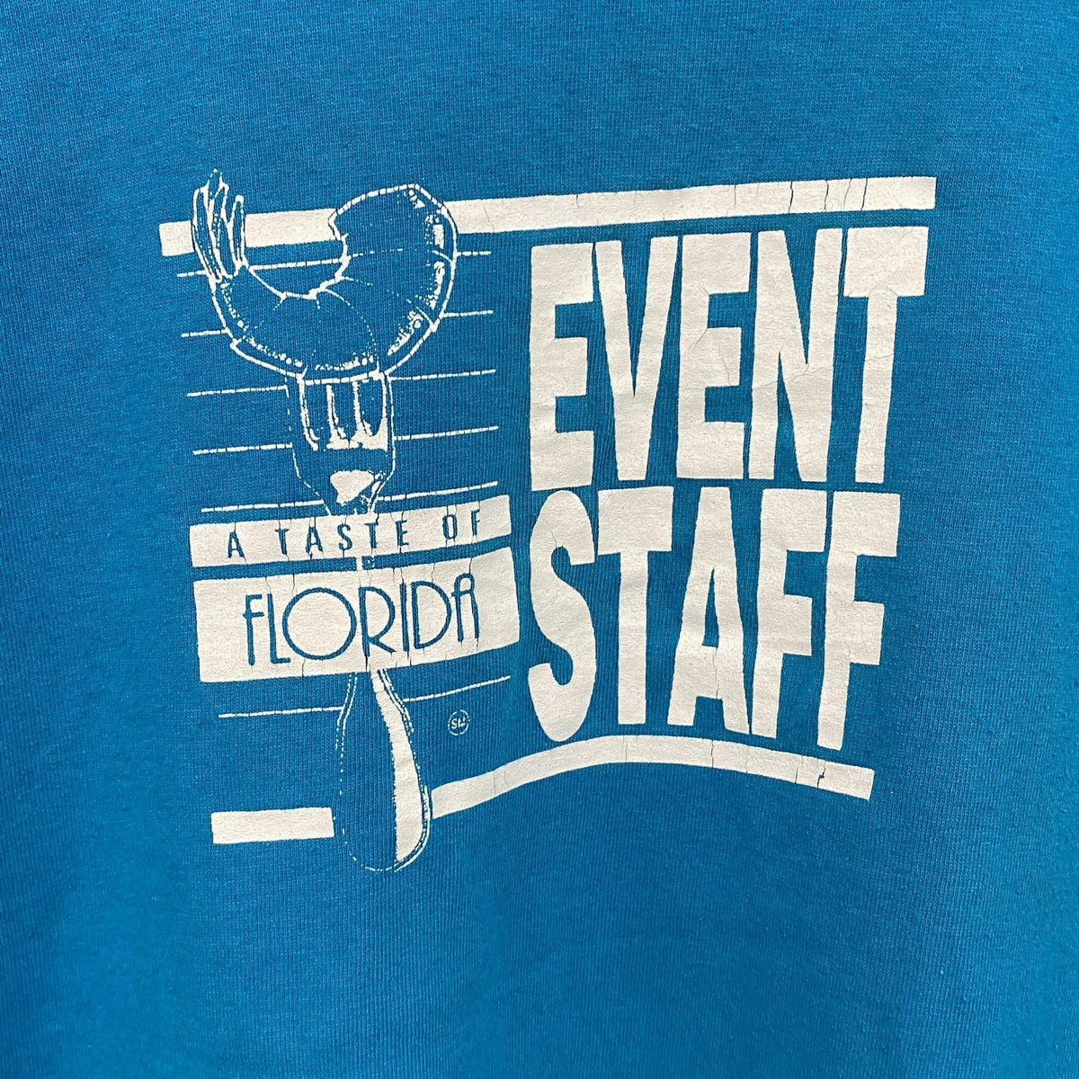 80s～　PLATINUM PLUS　半袖プリントTシャツ　ヴィンテージ　シングルステッチ　ブルー　Lサイズ　古着