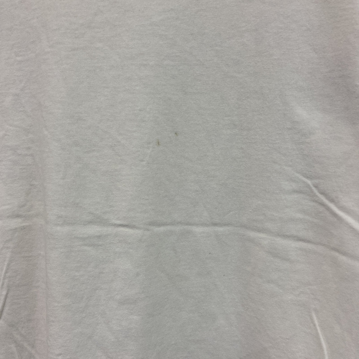 FRUIT OF THE LOOM　フルーツオブザルーム　半袖プリントTシャツ　シングルステッチ　花　白　ホワイト　Lサイズ カットソー メンズ コットン 古着
